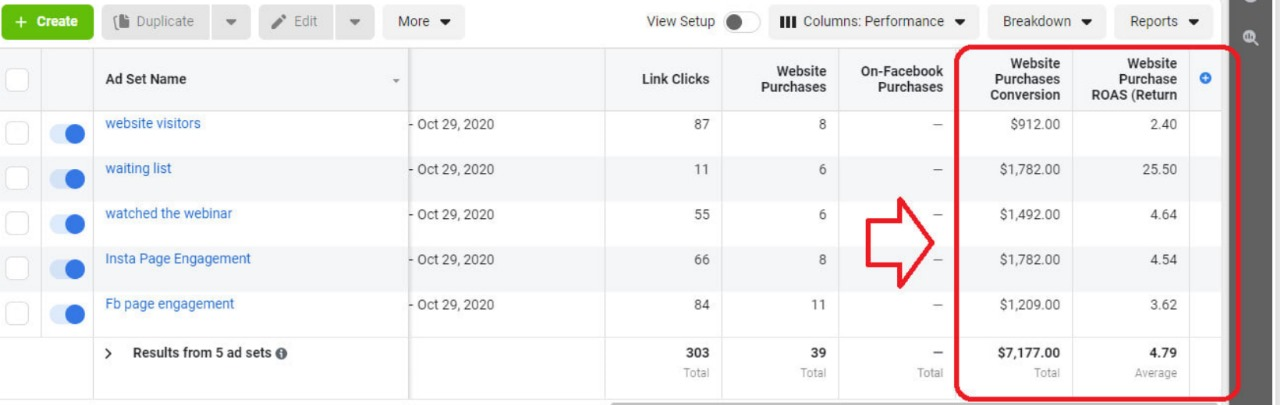 Meta Ads ROAS results